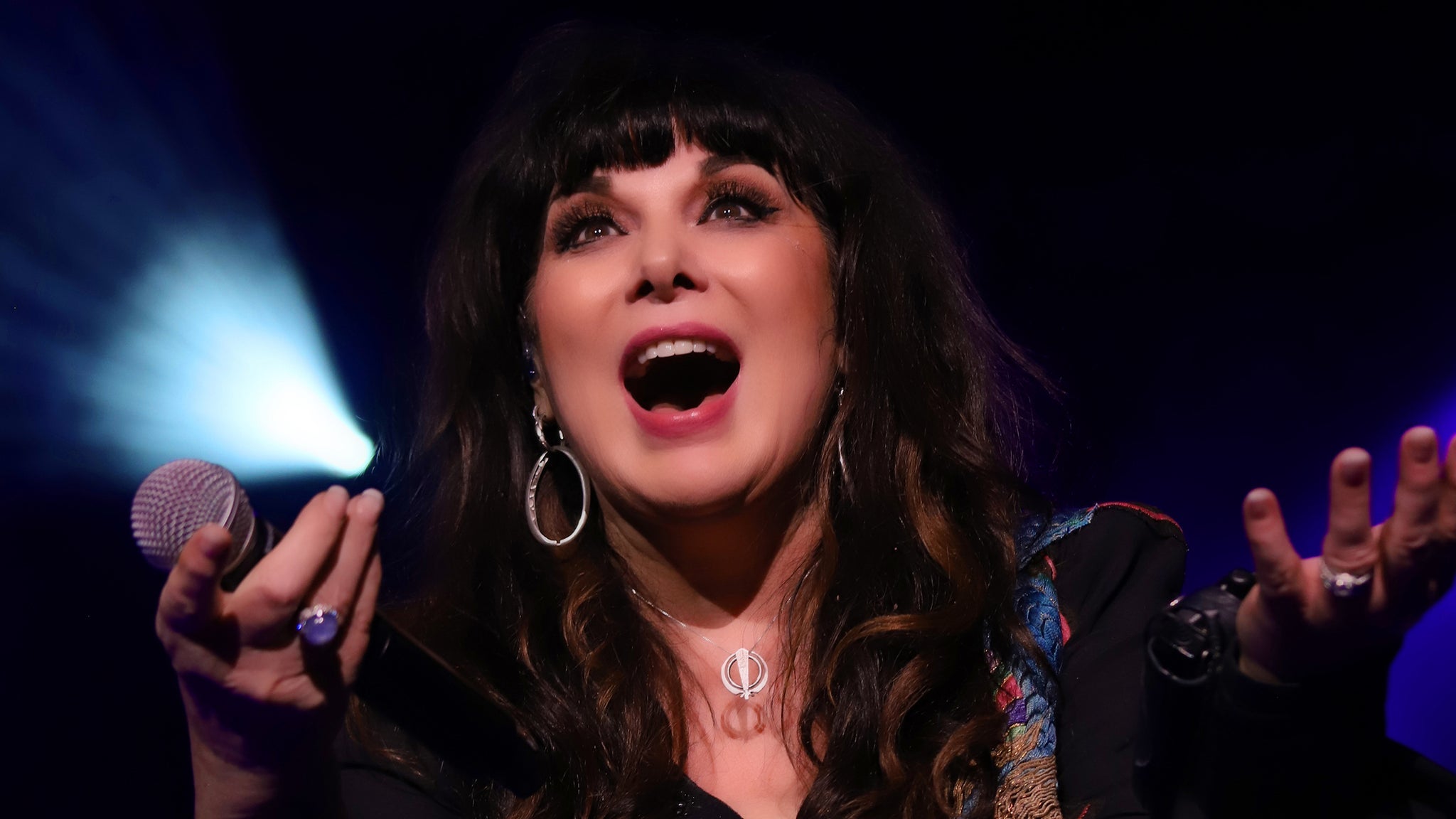 Ann Wilson 2026